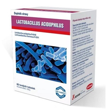 Lactobacillus acidophilus—60 tobolek