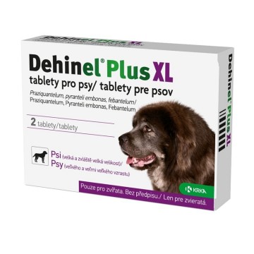 Dehinel plus XL—2 tablety