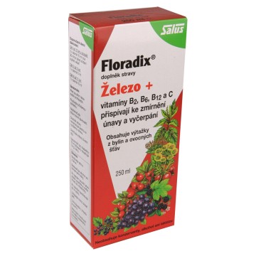 Salus Floradix Železo+—sirup 250ml