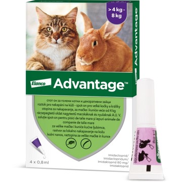 Advantage 80mg velké kočky+králíci spot-on—4x0,8 ml