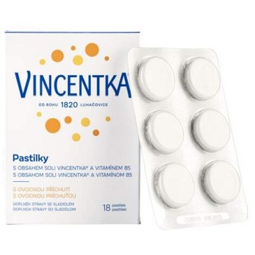 Vincentka Ovocné pastilky—18 ks