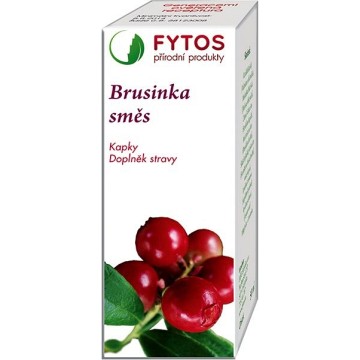 Fytos Brusinka směs—20 ml