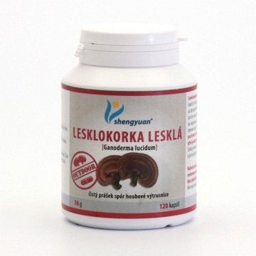 Lesklokorka lesklá—30g, 120 kapslí