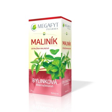 Megafyt Bylinková lékárna Maliník—20x1,5 g