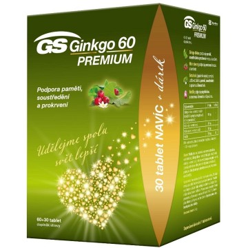 GS Ginkgo 60 Premium—120 tablet